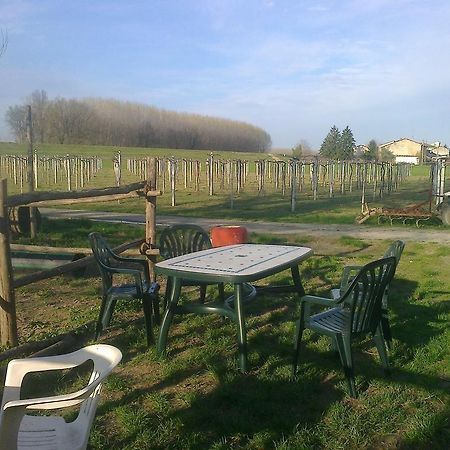 Agriturismo Antica Golena グアスタッラ エクステリア 写真