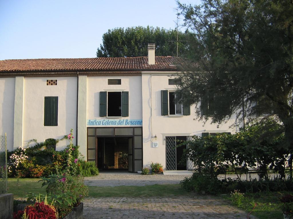 Agriturismo Antica Golena グアスタッラ エクステリア 写真