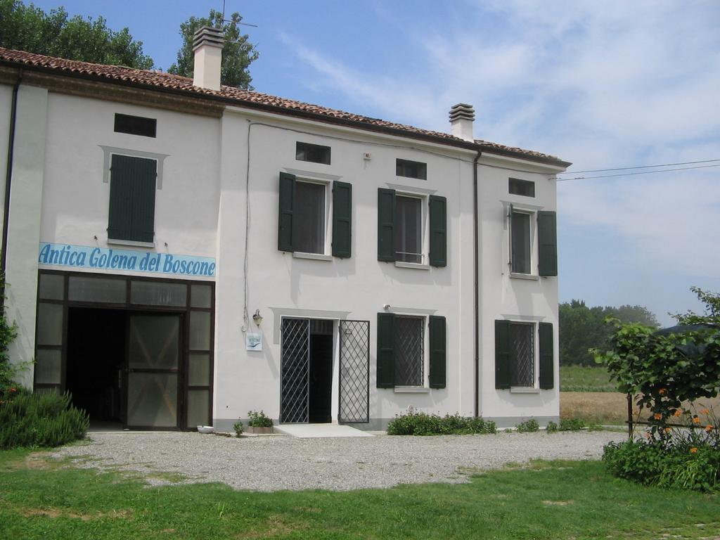 Agriturismo Antica Golena グアスタッラ エクステリア 写真