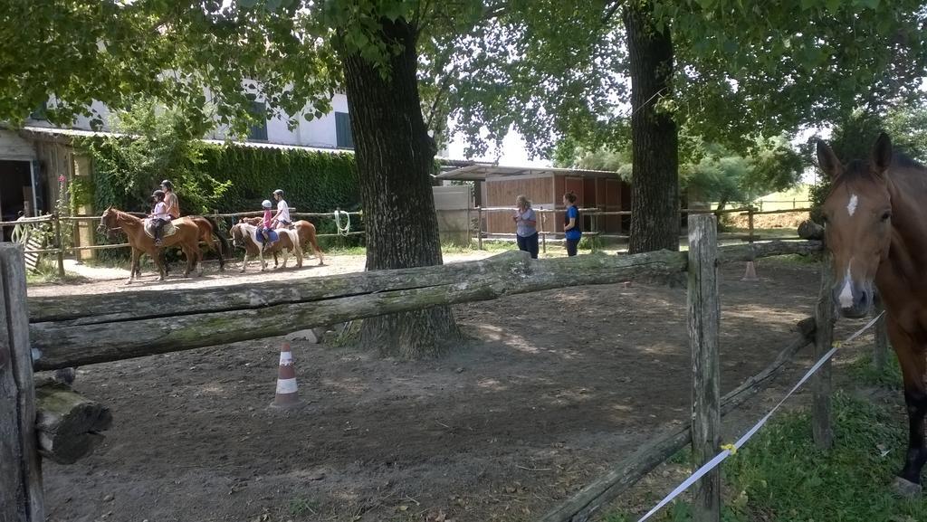 Agriturismo Antica Golena グアスタッラ エクステリア 写真