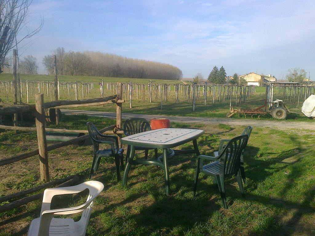 Agriturismo Antica Golena グアスタッラ エクステリア 写真